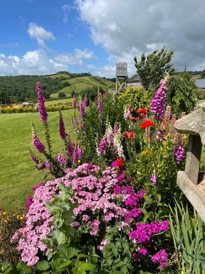 Westerley Country B & B With Exclusive Guest Lounge Buckfastleigh Exteriér fotografie